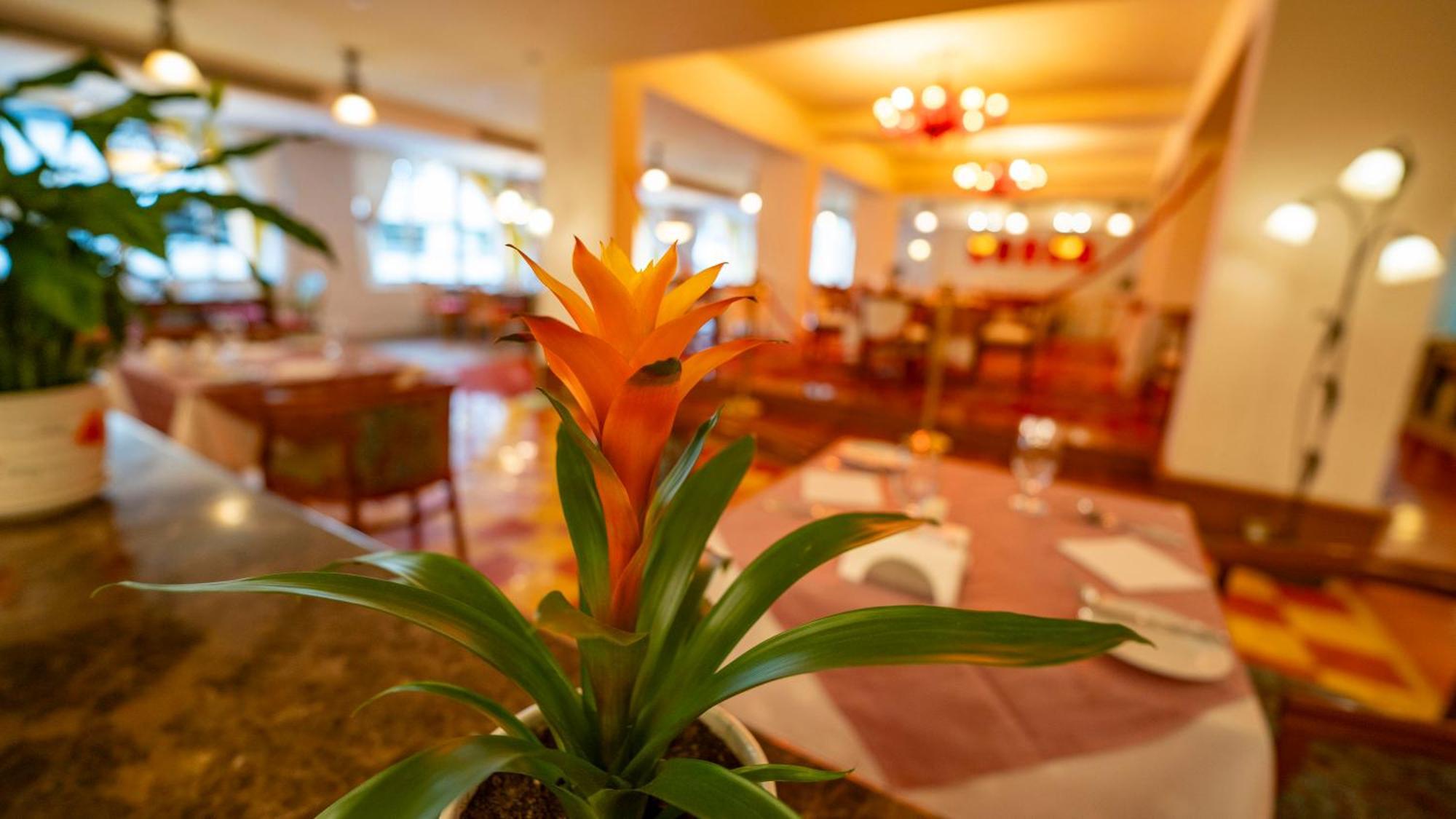 Hotel Riviera 4*